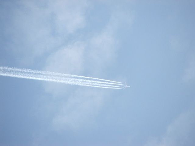 Click for original image